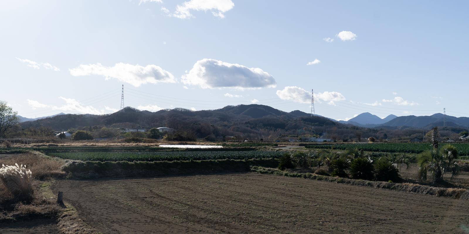 本庄市児玉町の風景